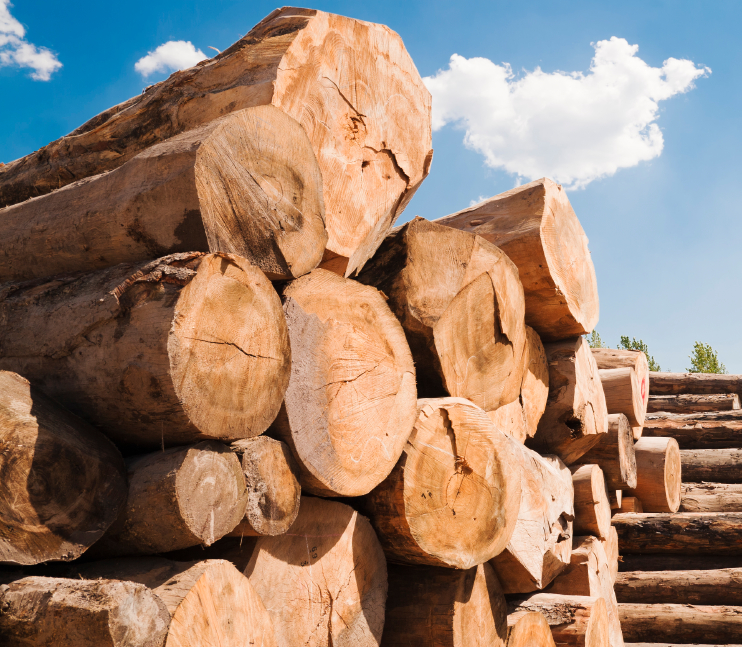 Logs t. Лесная промышленность Иркутска. Продукция Лесной промышленности на Дальнем востоке. Рубка деревьев. Пиломатериал